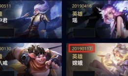 王者小菊皮肤爆料视频